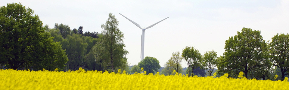Die Energiewende - nutzlos und teuer?