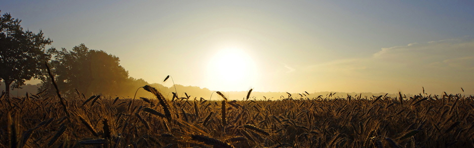 Ressourcen schonen - Energie sparen